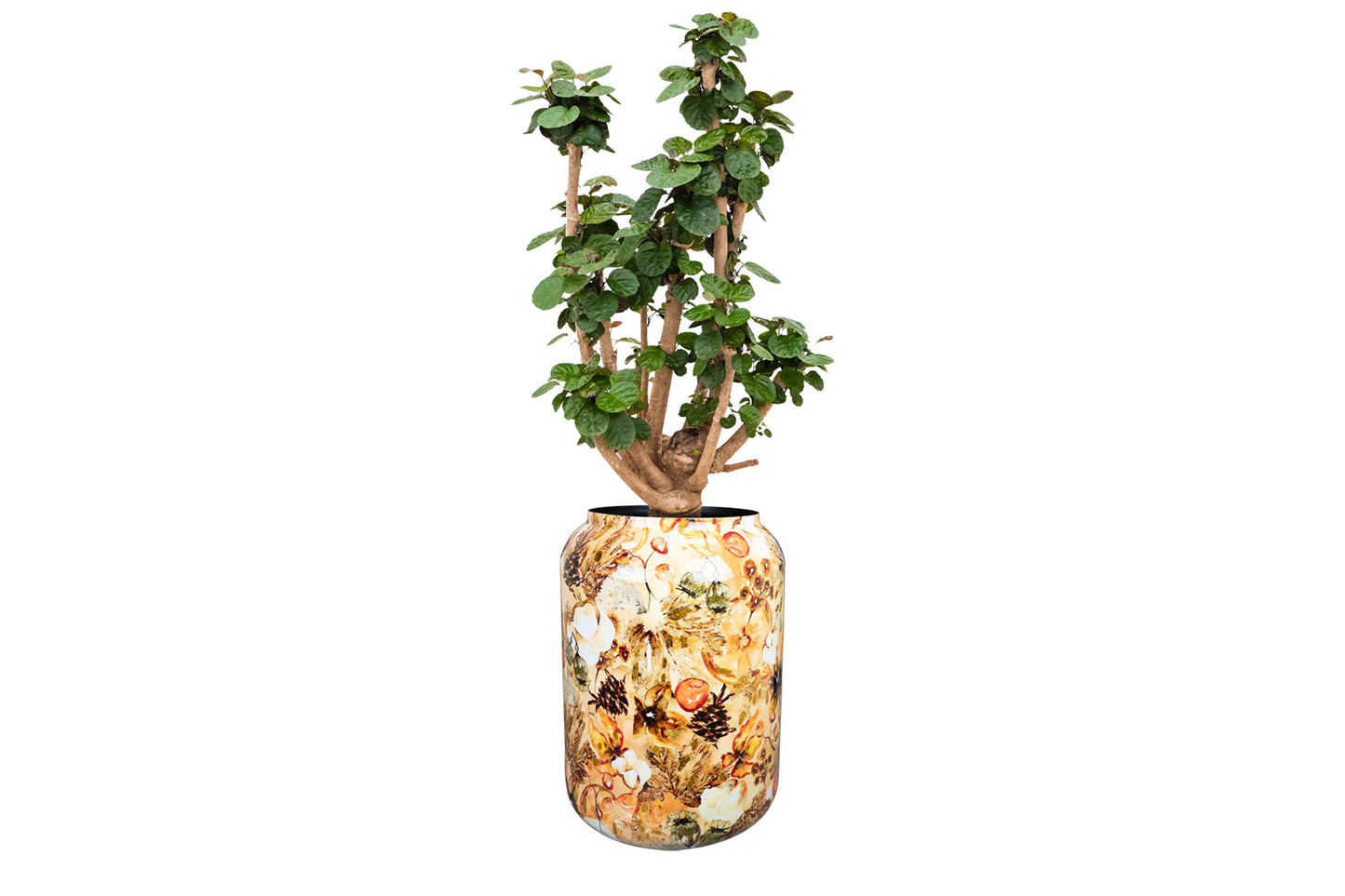 Pot Cotton cream
