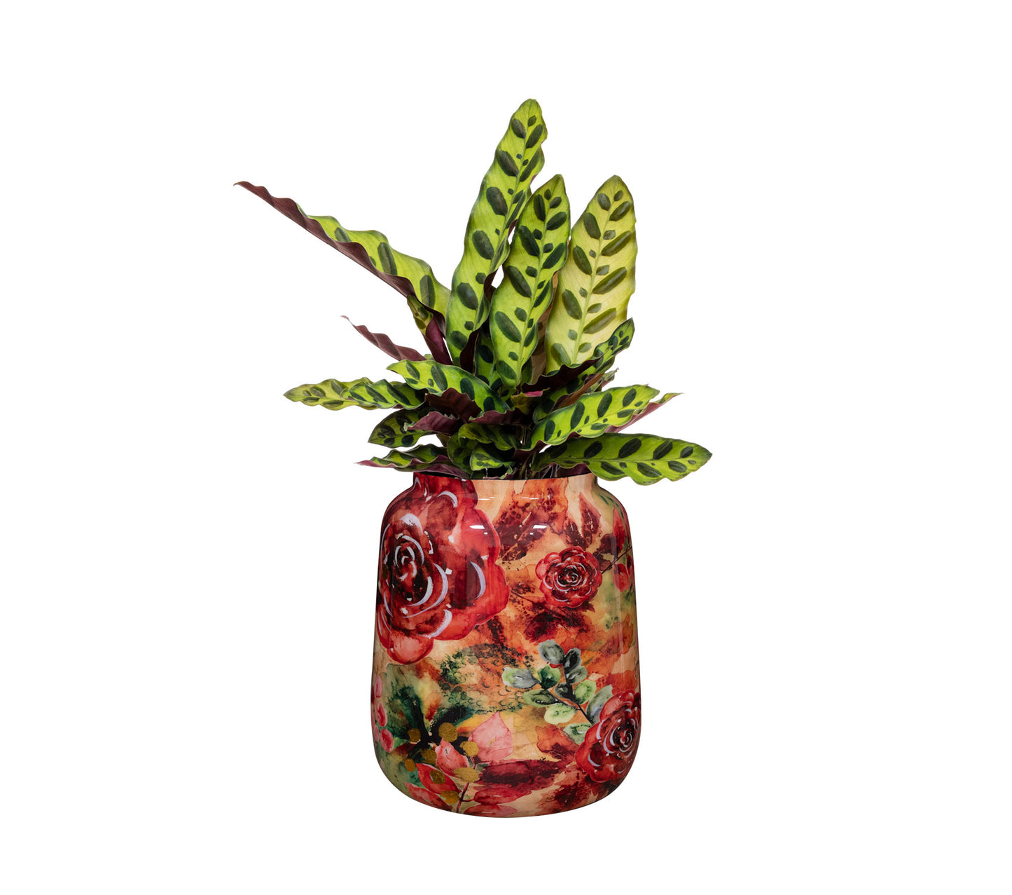 Pot Rose rouge